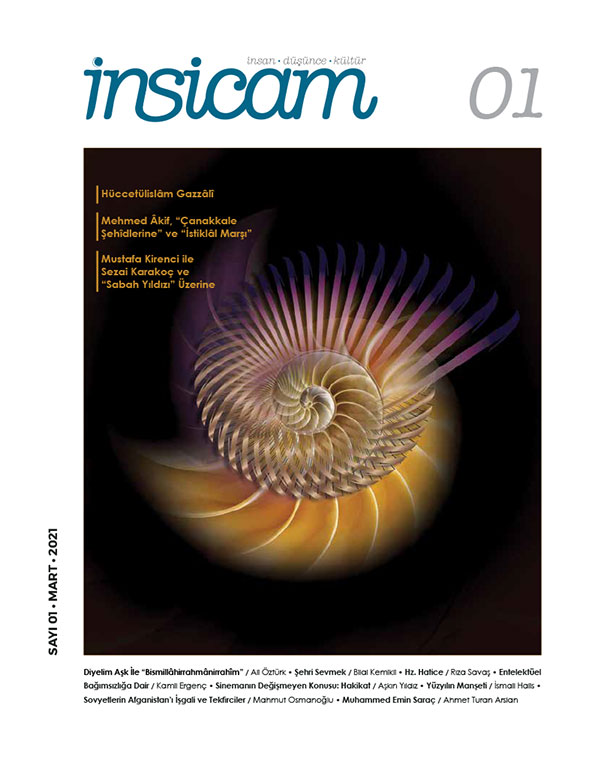 İNSİCAM SAYI 01 PDF